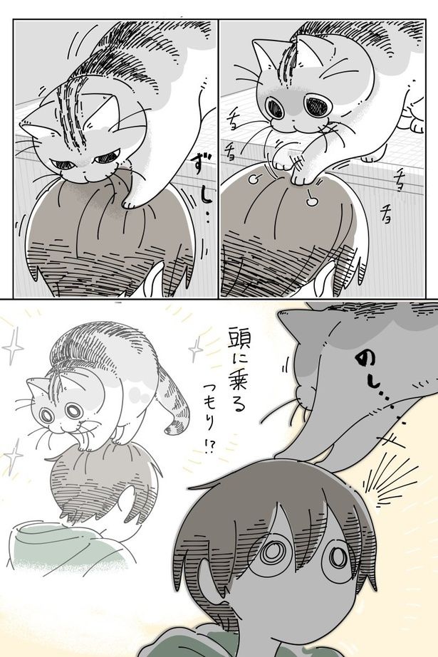 03 画像提供：キュルZ@kyuryuZ