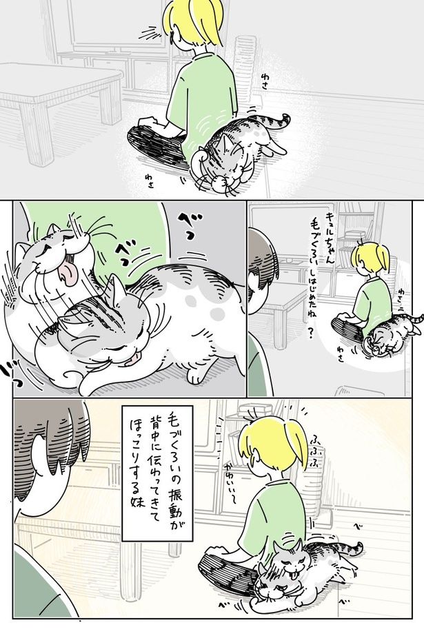 02 画像提供：キュルZ@kyuryuZ