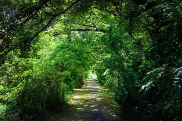 「老後は大変」というのもまた思い込みの一つ