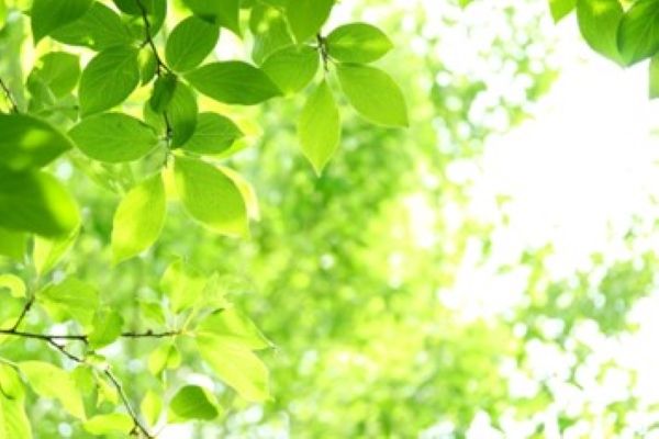 思い込んでいるのは、ほかならぬ女性自身かも