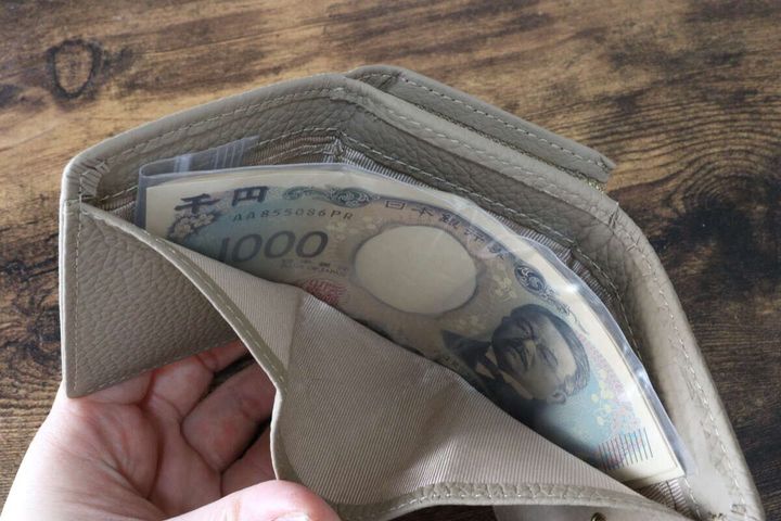 セリアの管理がしやすいお札サイズ チャック付ポリ袋 縦型 10枚