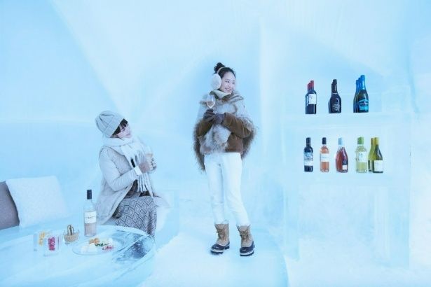 ホットドリンクなど氷のミニバーを楽しめる