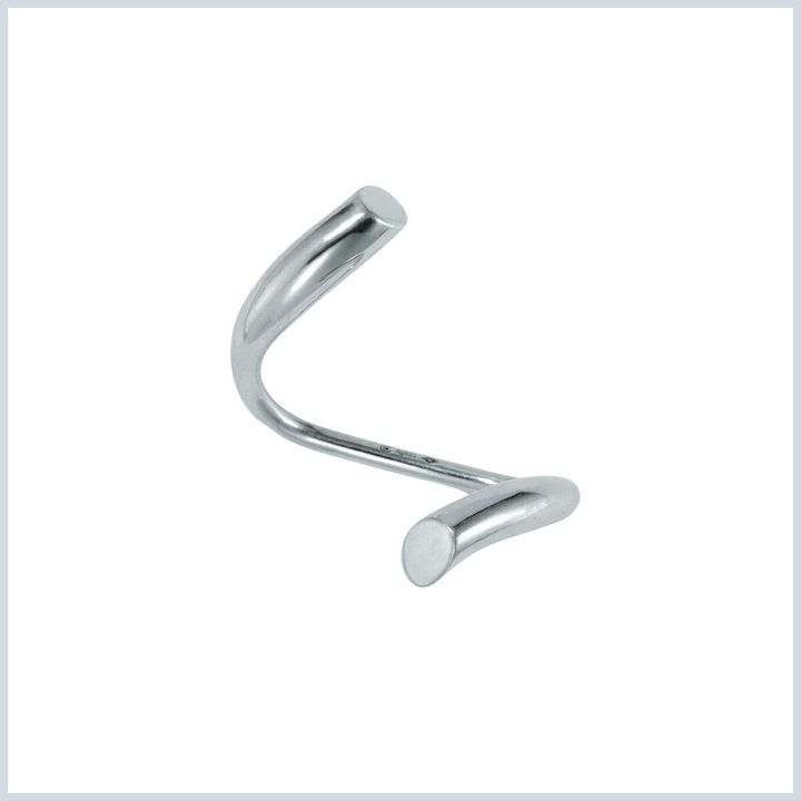 Charlotte Chesnais.jpg