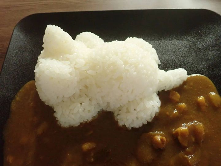 DAISO(ダイソー)：ごはん de ニャン