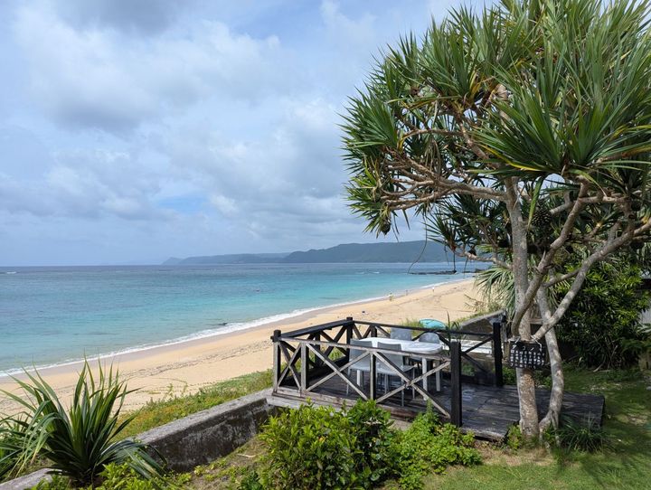 タコノキに囲まれているウッドデッキのテラス席