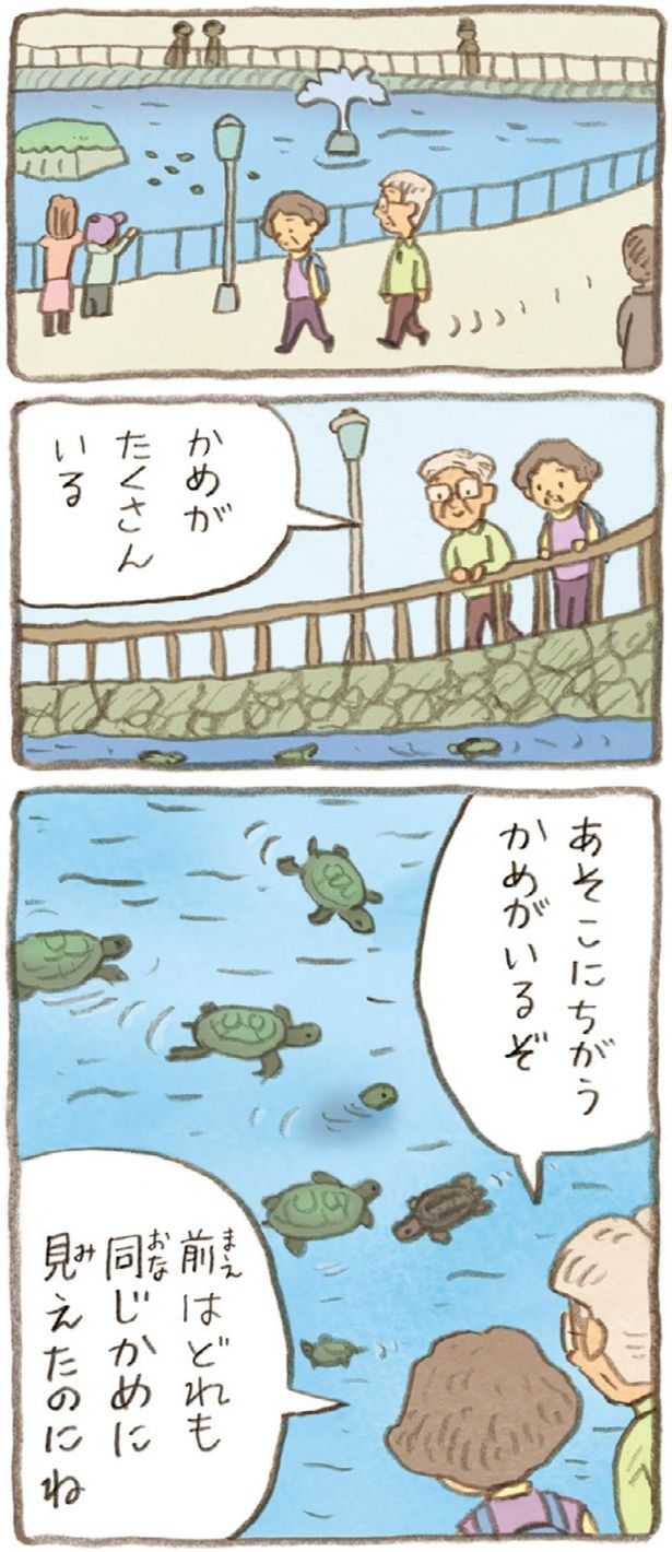 前はどれも同じかめに見えたのにね （C）やましたこうへい／KADOKAWA