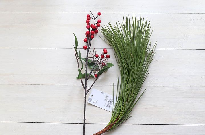 ナンテンとマツ