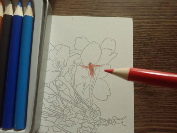 DAISO(ダイソー)：色鉛筆(ミニ、12色)