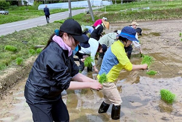 日本酒「天晴」がカクヤスにて限定販売中！新潟の女性杜氏が手がける手がける純米酒