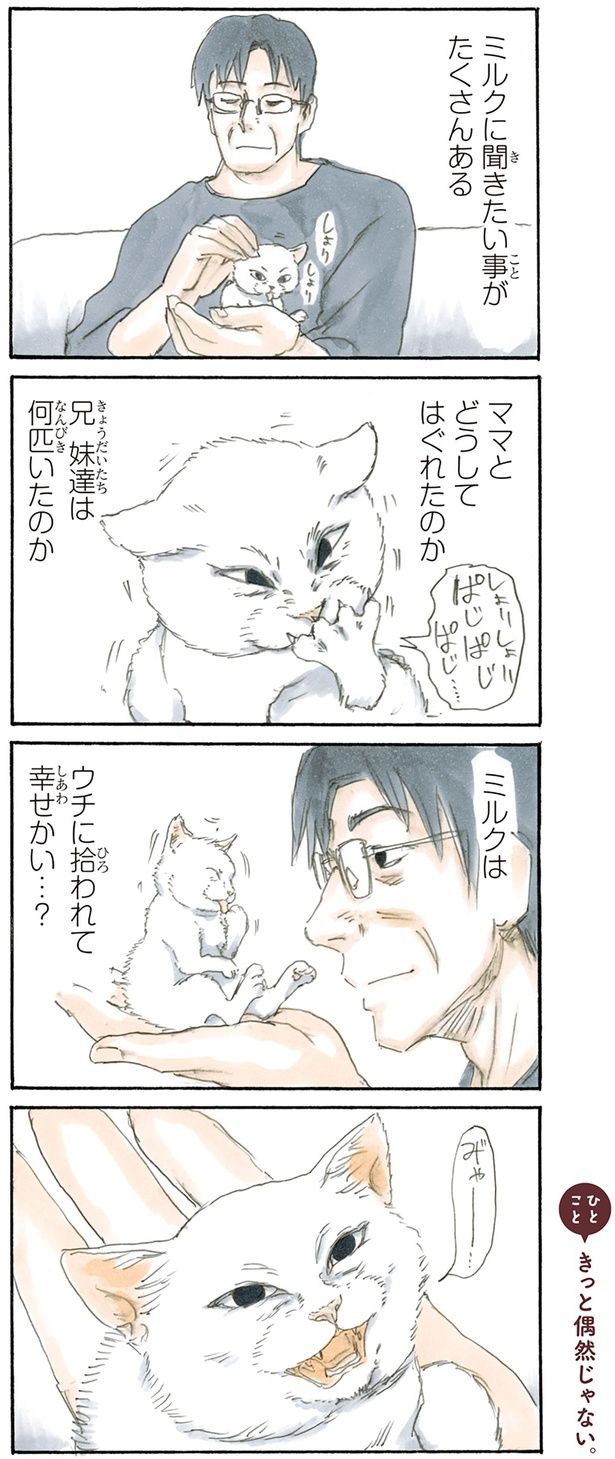 拾い猫のミルク （C）にごたろ／KADOKAWA