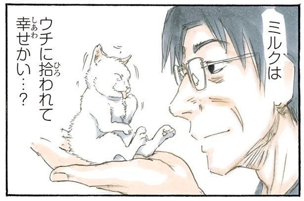 子猫に聞きたいこと （C）にごたろ／KADOKAWA