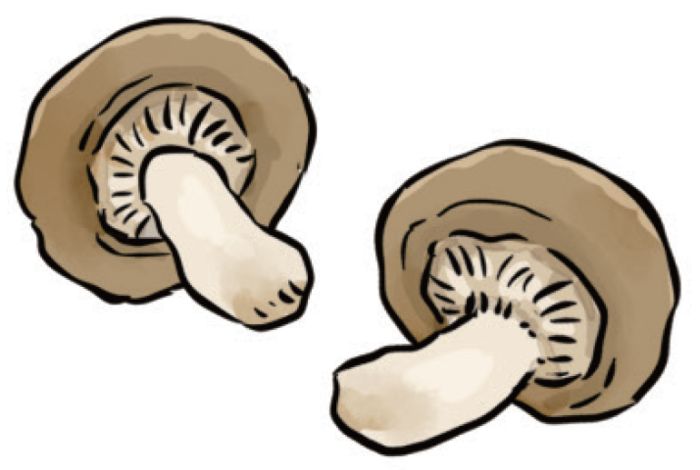 ドイツの春の料理といえばシュパーゲル！旅人・低橋さんが楽しむ旬の食材とローカルフード【世界思い出旅ごはん おかわり】