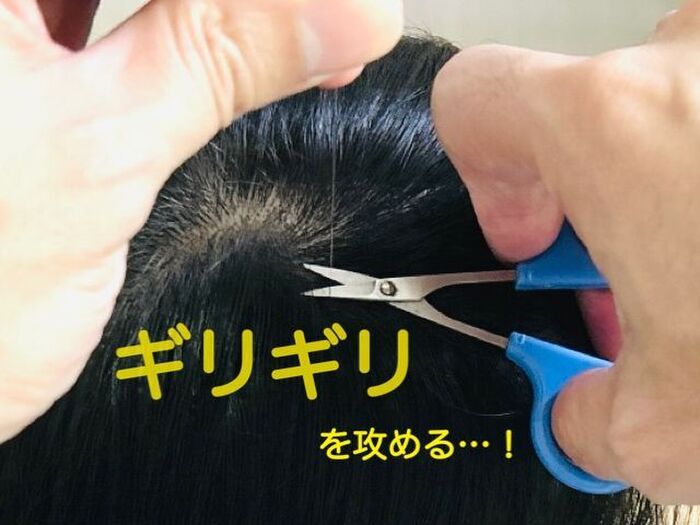 「白髪」を見つけてもブチッと抜いちゃダメー！後悔することになりますよ…。意外と知らない正しい対処法