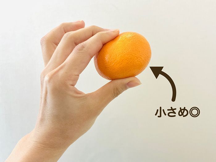 「丸い」みかんと「平たい」みかん、甘くて美味しいのはどっち？意外と知らないみかんの選び方