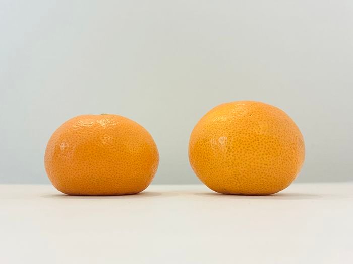 「丸い」みかんと「平たい」みかん、甘くて美味しいのはどっち？意外と知らないみかんの選び方
