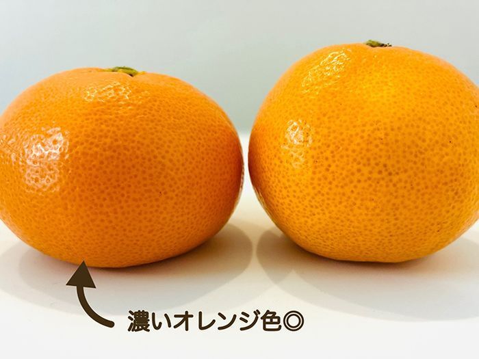 「丸い」みかんと「平たい」みかん、甘くて美味しいのはどっち？意外と知らないみかんの選び方