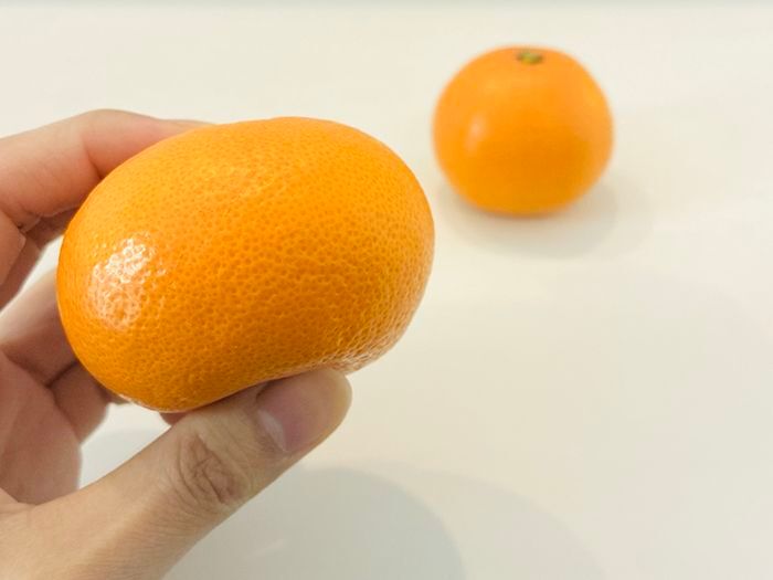 「丸い」みかんと「平たい」みかん、甘くて美味しいのはどっち？意外と知らないみかんの選び方