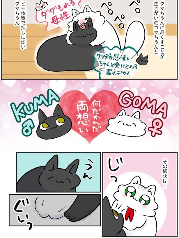 その秘訣は… (C)こばん／KADOKAWA