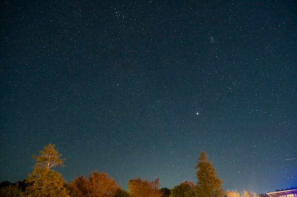 冬キャン、これやらないと損する。大人がハマる焚き火・星空・冬ごはんの“大正解”とは