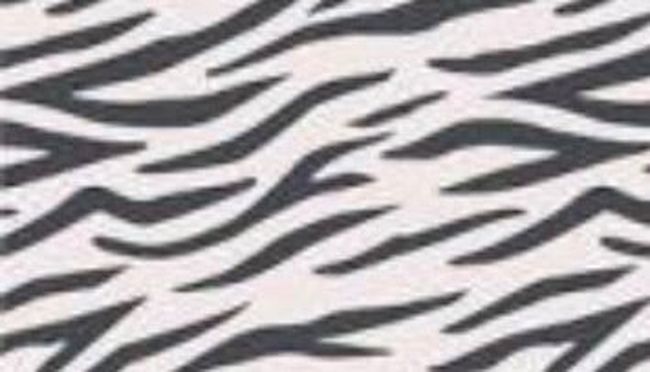 母の認知症介護日記／ワフウフ