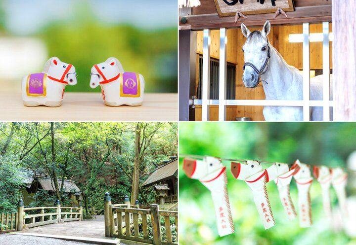 午年のお参りは、白馬伝説を語り継ぐ“北のお伊勢さん” 三重の「多度大社」へ