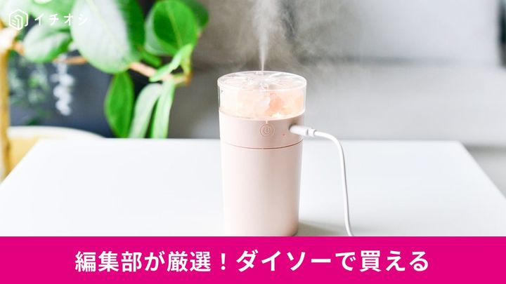 ダイソーの「乾燥対策グッズ」2選