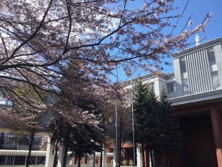 All About ニュース編集部は、全国10～60代の男女239人を対象に「北海道・東北地方の私立進学校」に関する独自のアンケート調査を実施。優秀な学生が多いと思う「北海道の私立進学校」で1位に選ばれたのは？