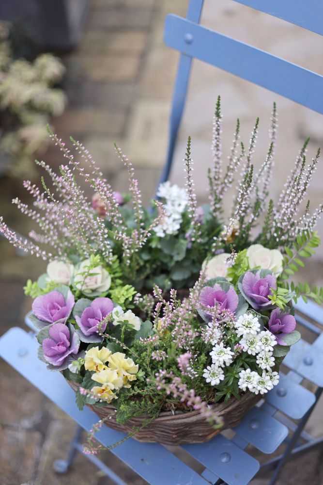 冬のリース寄せ植え