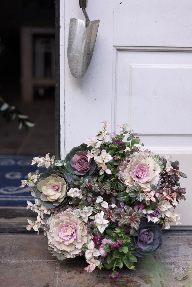 冬のリース寄せ植え