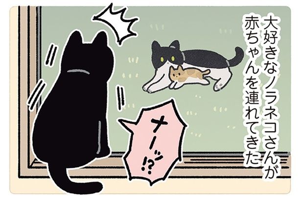 大好きなノラネコさんが赤ちゃんを連れてきた （C）AKR／KADOKAWA