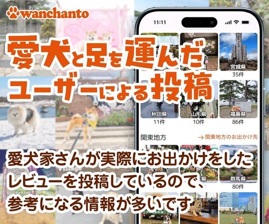 愛犬家向けの犬連れお出かけ口コミサイト「ワンちゃんと」が登録者1,000人を突破！