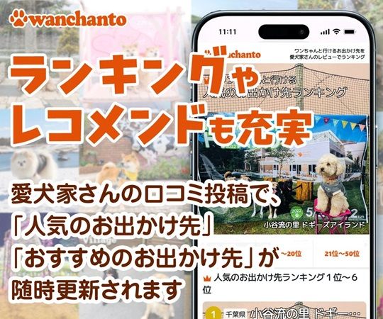 愛犬家向けの犬連れお出かけ口コミサイト「ワンちゃんと」が登録者1,000人を突破！