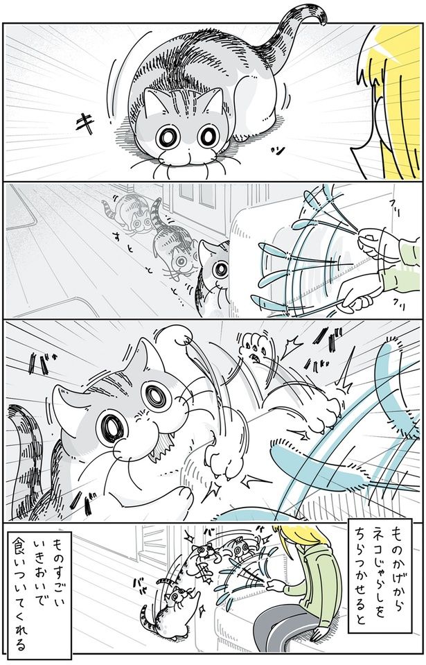 ものかげからちらつかせると （C）キュルZ／KADOKAWA