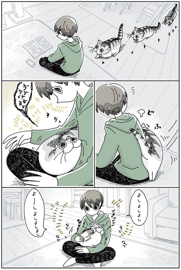 なでたところを気にするネコ （C）キュルZ／KADOKAWA