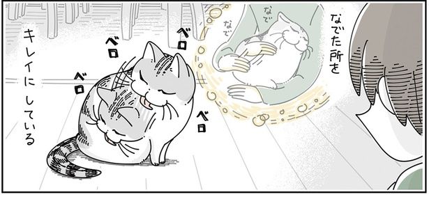 なでた所を… （C）キュルZ／KADOKAWA