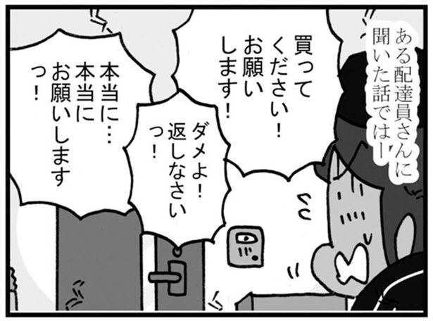 買ってください！お願いします！ （C）ゆきたこーすけ／KADOKAWA