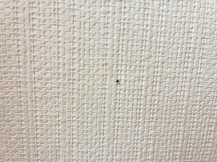 【セリア】ただの“修正テープ”と何が違う！？家中の穴を消し去る優秀アイテムでした♪