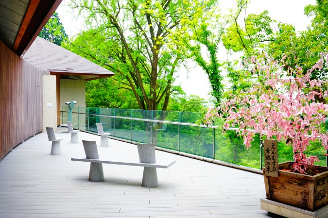 宝満宮 竈門神社 展望舞台