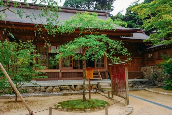 竈門神社 再会の木