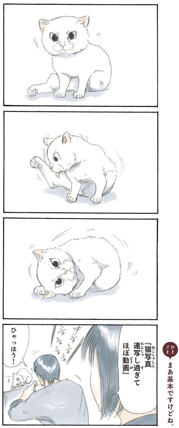 今日の一句 （C）にごたろ／KADOKAWA