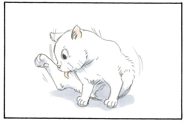 猫の写真を連写しすぎて… （C）にごたろ／KADOKAWA