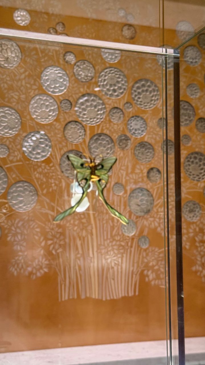 ラリック美術館アート鑑賞 15：15〜16：05（50分）