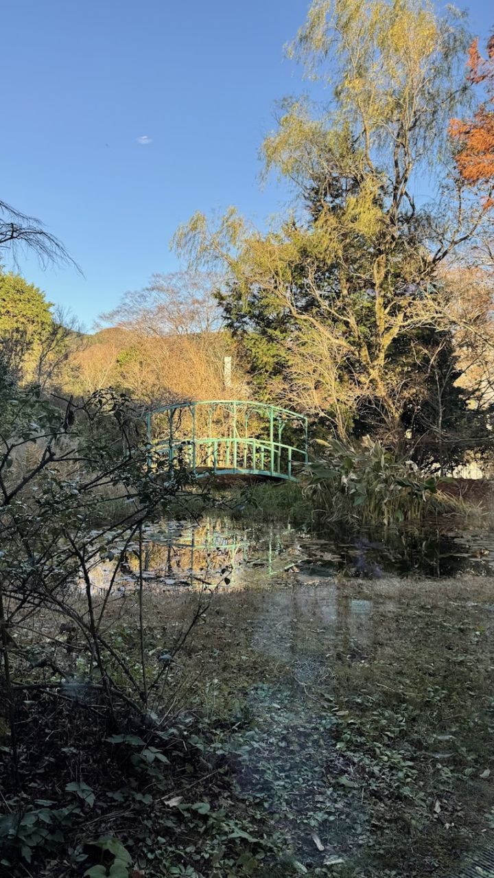 美術館内部から見る 池の風景：まるでモネの睡蓮の庭のよう。