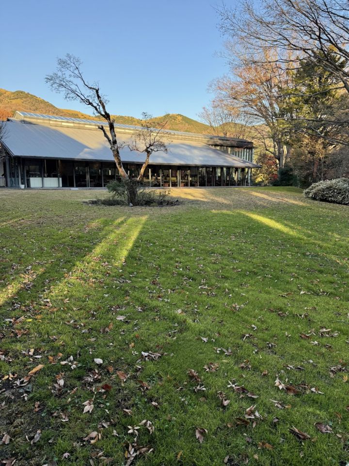 森の中に佇む美術館