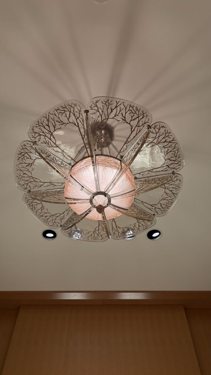 撮影許可の場所：香水瓶・壁面・天井照明（動画は不可です）