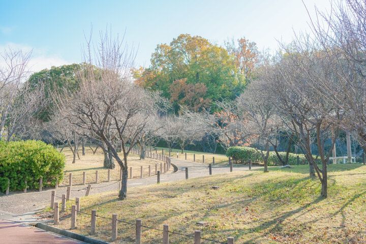 思わず集めたくなる♪美しい御朱印やお守りが充実した大阪・堺の「多治速比売神社」