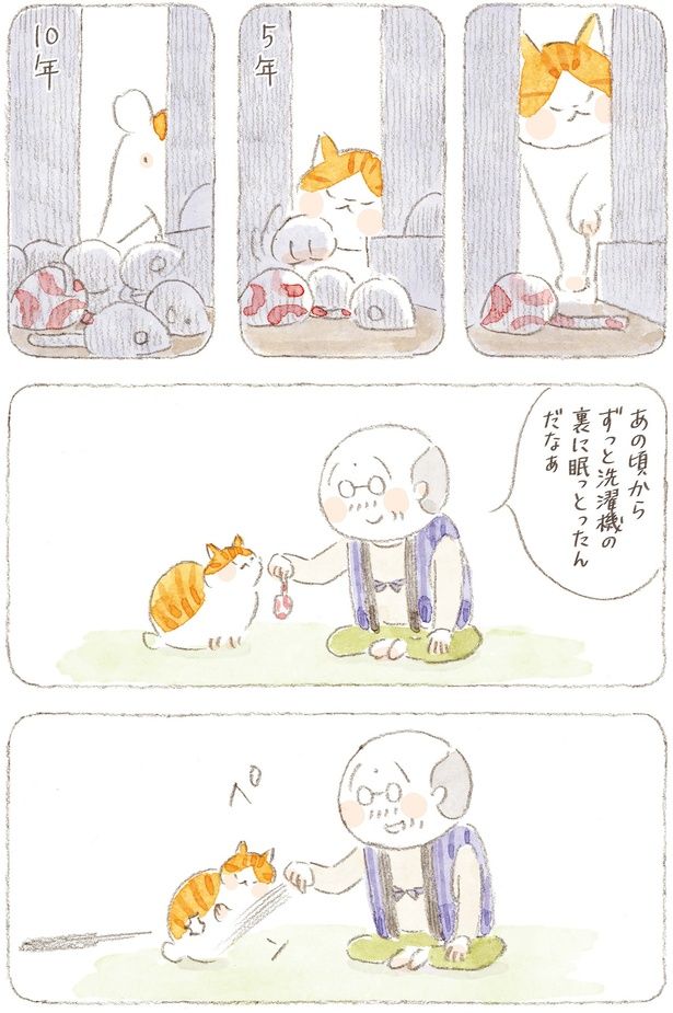 あのころからずっと洗濯機の裏に眠っとったんだなぁ （C）ねこまき（ミューズワーク）／KADOKAWA