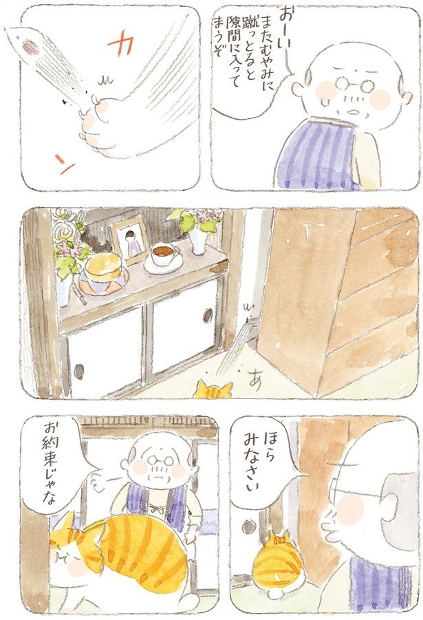 隙間に入ってまうぞ （C）ねこまき（ミューズワーク）／KADOKAWA