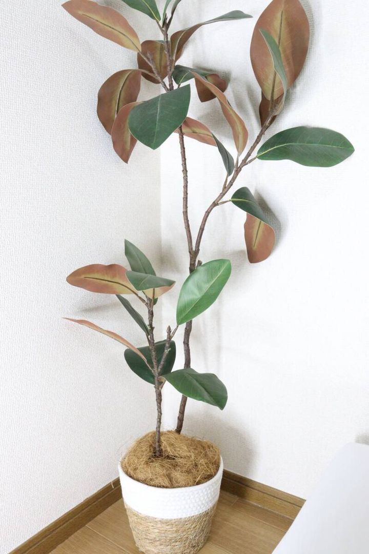 セリア ココナッツファイバー 完成