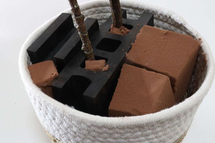 観葉植物 固定 やり方